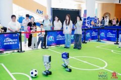 本届大赛由青年、南汇新城镇人平易近从